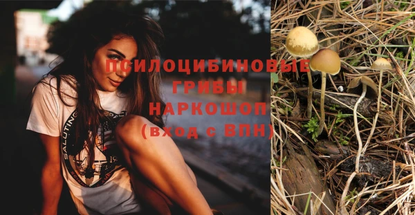 кокс Пролетарск