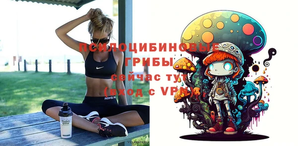 соль ск Протвино