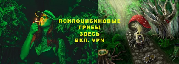 соль ск Протвино