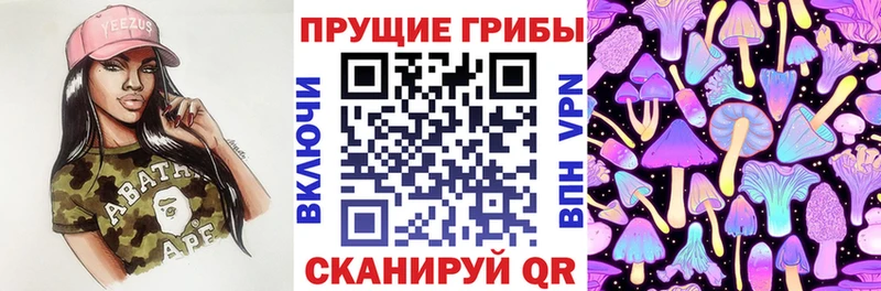 Псилоцибиновые грибы GOLDEN TEACHER купить сайты omg рабочий сайт Старица